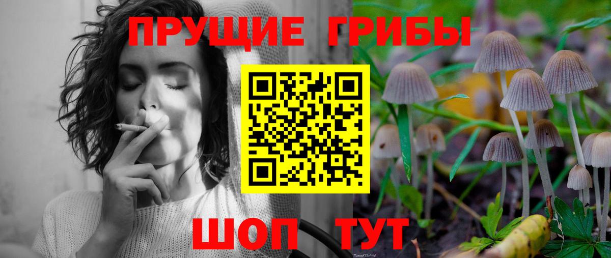 Чистополь  Галлюциногенные грибы Psilocybe  Вход с VPN 